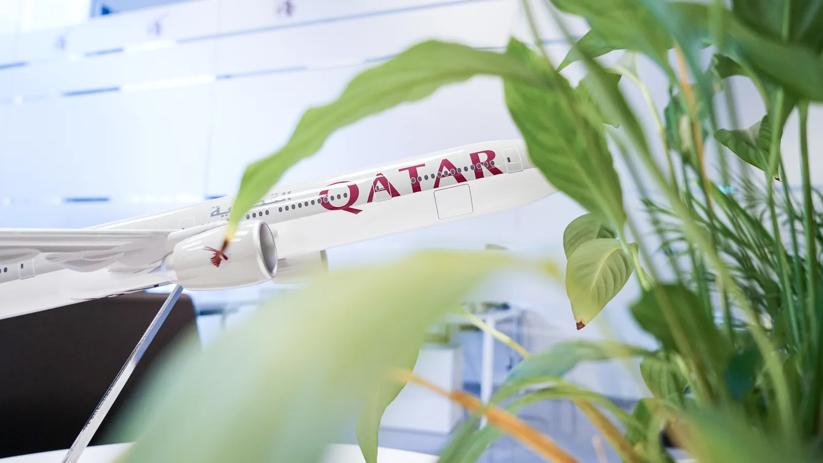 Modellino di aereo Qatar Airways in primo piano tra piante verdi, in un ufficio luminoso